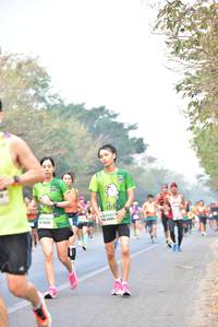 BIB: 
                            <button type="button" onclick="openModal(10136533)" class="btn btn-primary btn-sm float-right btn-popup" data-toggle="modal" data-target=".modal-high-quality">
                        <i class="fas fa-shopping-cart"></i> Add to Cart
                    </button>
                                            <button type="button" onclick="isThisMe(10136533, true)" class="btn btn-success btn-sm float-right btn-popup btn-isme hidden" data-toggle="tooltip" data-placement="bottom" title="นี่คือรูปของคุณใช่ไหม คลิกที่นี่เพื่อเอาเข้าอัลบั้ม">
                        <i class="fas fa-plus"></i> Add to album
                    </button>
                    <button type="button" onclick="isThisMe(10136533, false)" class="btn btn-warning btn-sm float-right btn-popup btn-isnotme hidden">
                        <i class="fas fa-ban"></i> Remove from album
                    </button>